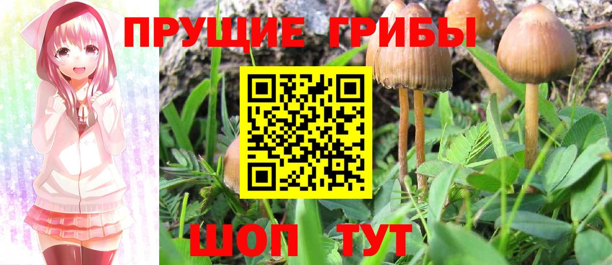 Галлюциногенные грибы мухоморы  Галлюциногенные грибы мухоморы  Вход с VPN  Лабинск 