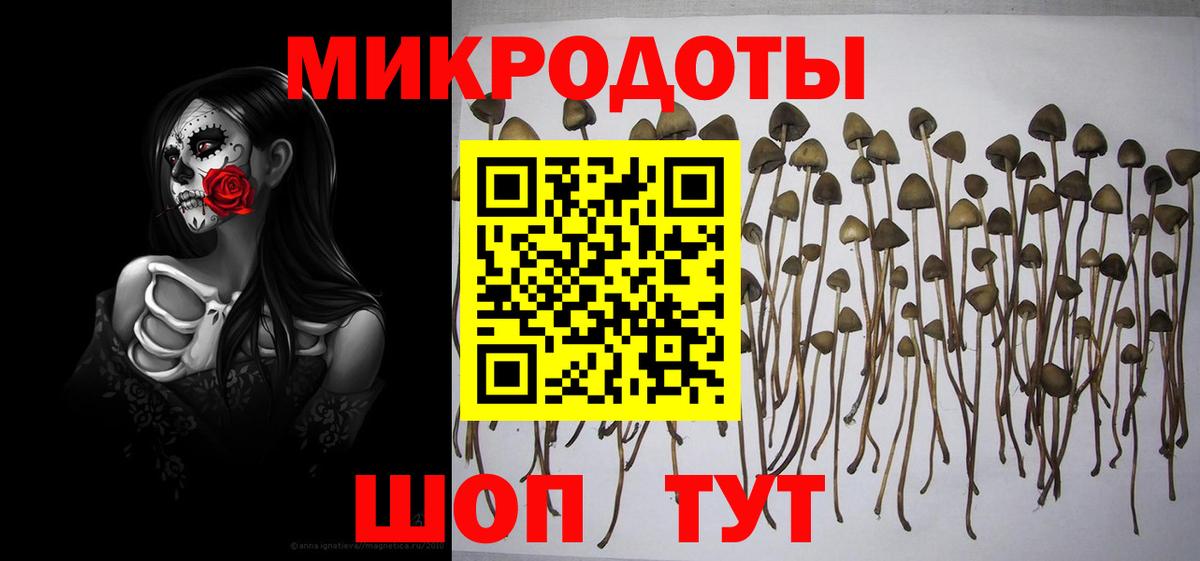 Гашиш Лабинск