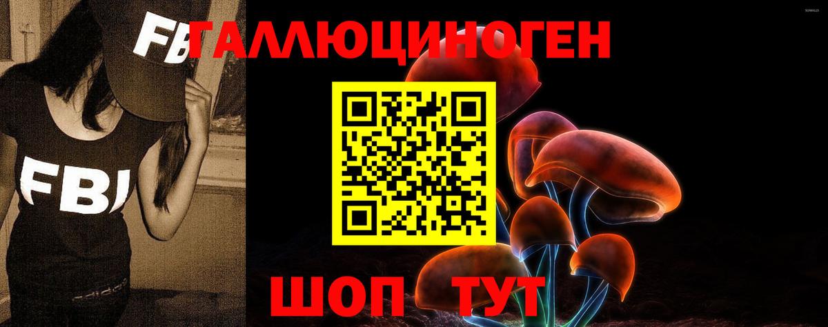 Галлюциногенные грибы Cubensis Лабинск